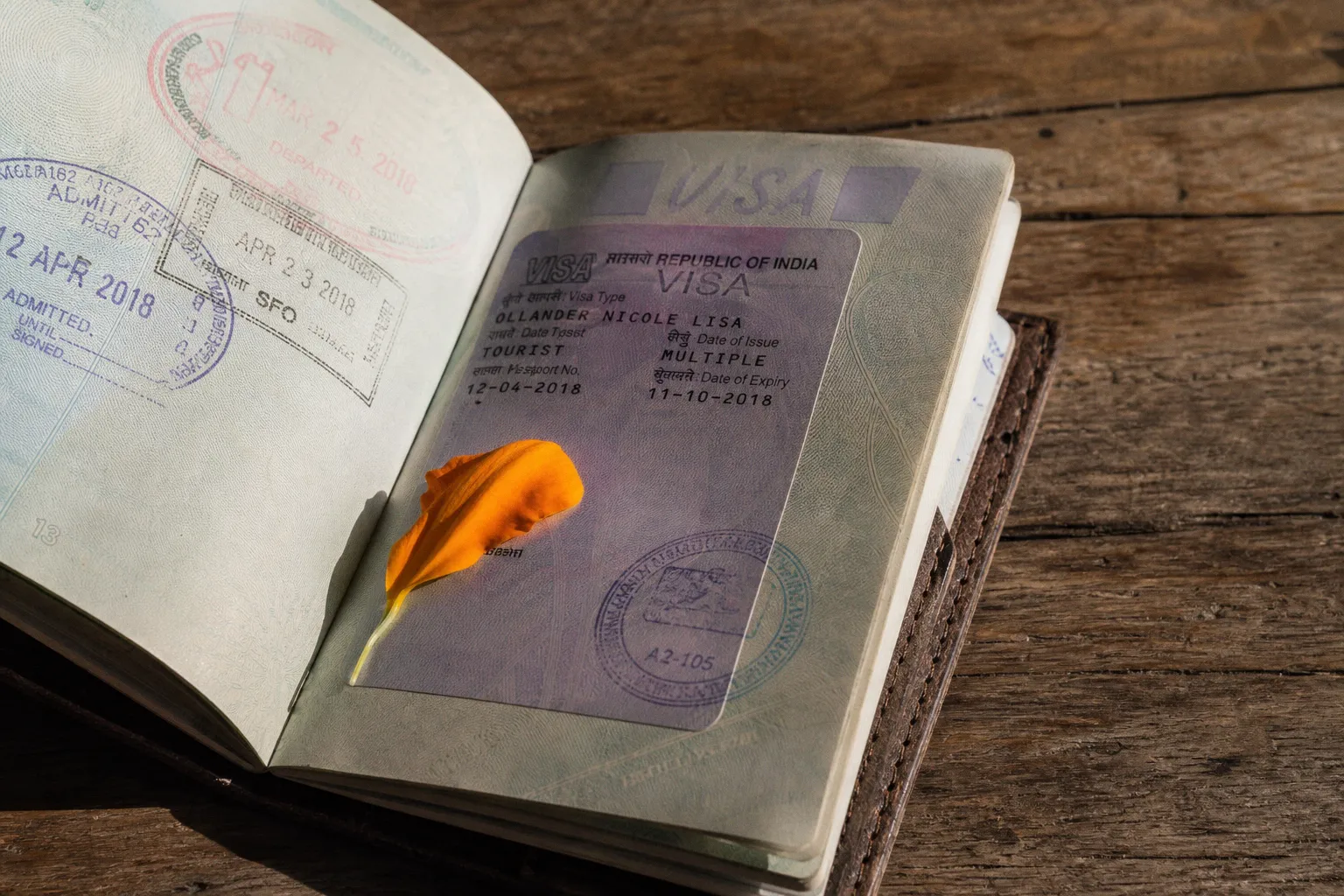 India tourist visa online application: a 5-minute guide