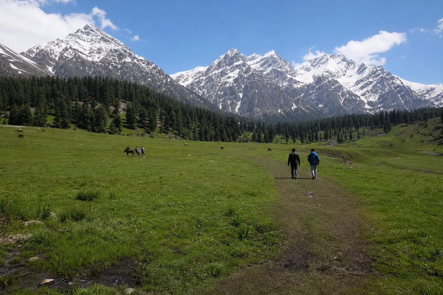 Where to Travel in India During the August Monsoon Season